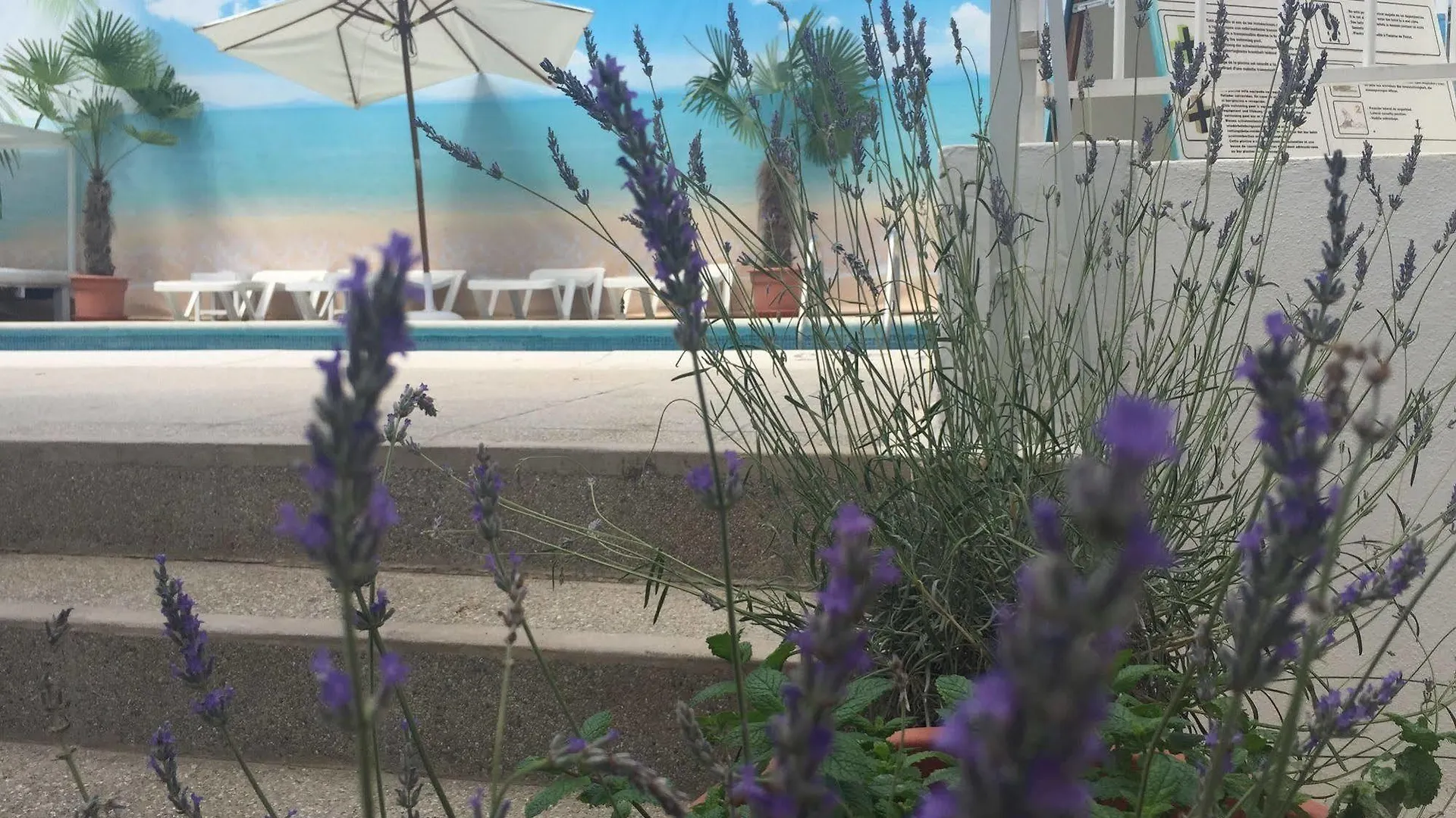 All Suite Ibiza Aparthotel San Antonio San Antonio (Ibiza)